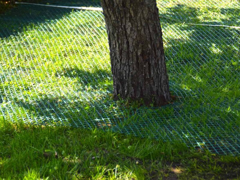 Wühlschutz und Buddelschutz für Hunde im Garten mit dem Rasennetz RN450