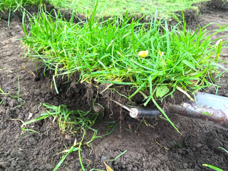 Rasengitterplatte aus Gummi als Fallschutzmatte für Schaukel, Rutsche & Spielgerüst