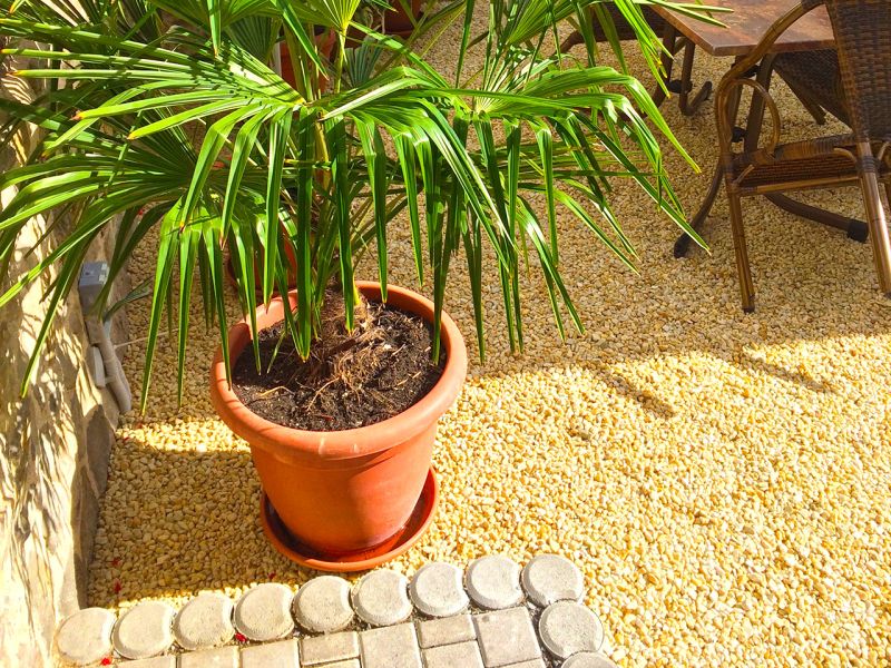 Begehbare Kiesfläche im Eingangsbereich eins Wohnhauses mit der Kieswaben KW30