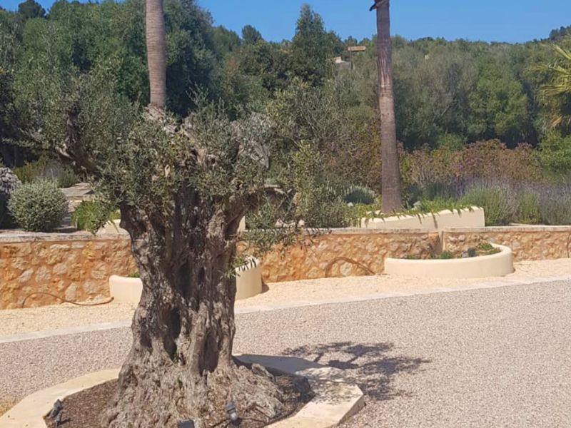 Wie eine Werbung für einen Mallorca Urlaub das kann unser Kiesgitter KG30
