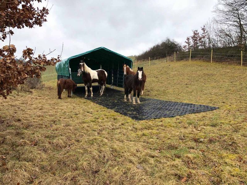 Mit dem Bodengitter BG30 einen befestigten Unterboden schaffen