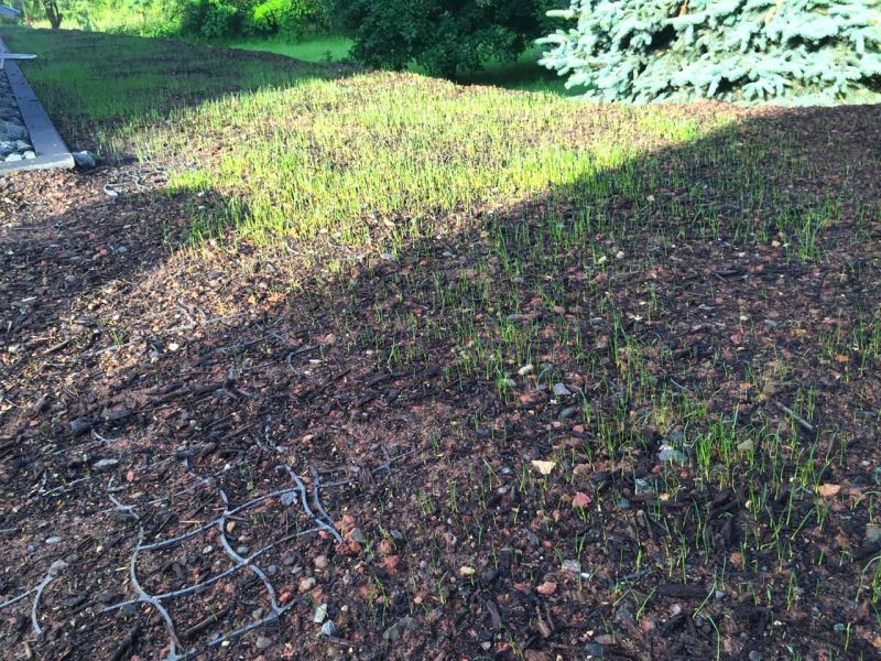 RASEN VERSTÄRKEN UND BEFAHRBAR MACHEN MIT BODENGITTER BG50 AUS KUNSTSTOFF