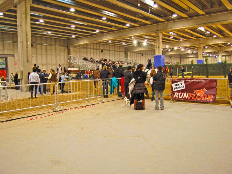 Bodengitter als Paddockplatte, Paddockgitter zur Pferdehaltung und Reitsport