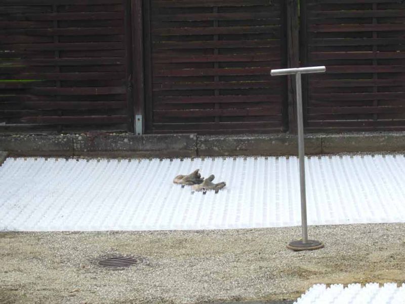 Austausch von Pflastersteinen gegen das Kiesgitter KG30 in Hof & Einfahrt