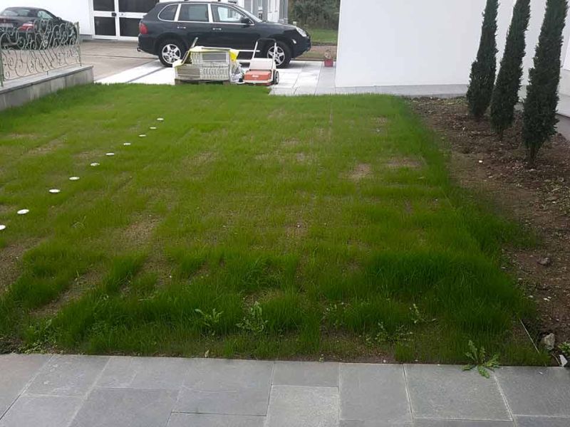 Ein frisch angelegter, begrünter Stellplatz für ein Fahrzeug, in den Rasengitter eingelassen sind. Die weißen runden Markierungen der Rasengitter bilden eine Reihe in der Mitte des Parkplatzes. Rechts des Stellplatzes stehen mehrere schmale, hohe Zypressen, während links ein Metallzaun das Gelände abgrenzt. Im Hintergrund sind mehrere geparkte Autos, Baumaterialien und ein modernes weißes Gebäude mit großen Fenstern zu sehen. Der Boden um die Zypressen ist noch unbepflanzt.