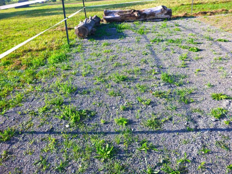 Bodenbefestigung eines Pferdeauslauf mit Weidezelt und Futterplatz