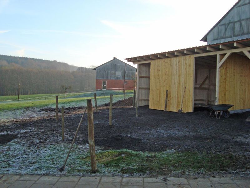 Bodengitter BG50 ohne Unterbau für ein Paddock / Offenstall selber verlegen