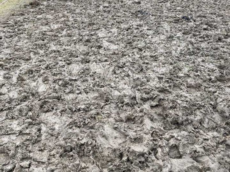 Paddockplatten für ein Winter-Pferdepaddock ohne Matsch