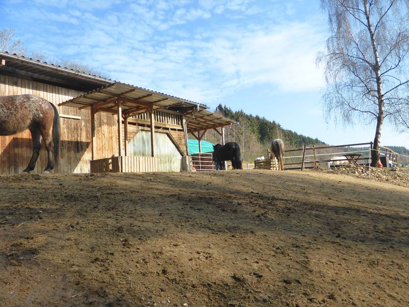 Update zu unserem Artikel "Befestigter Freilauf bei einer Pferdepension mit der Paddockplatte PP60"