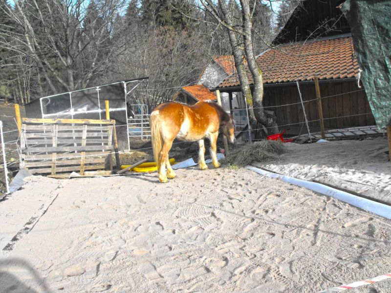 Bodengitter BG30 Pferde Paddock 003 referenz