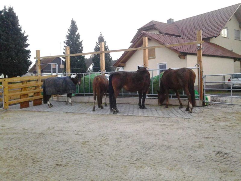 Bodengitter BG50 zur trittfesten Bodenbefestigung eines Roundpen / Führanlage