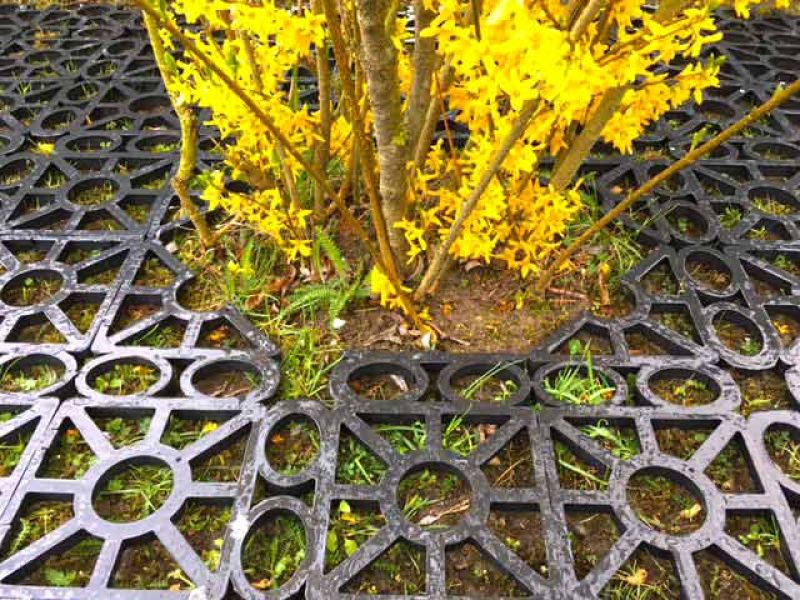 Kunststoff Rasengitter RG24 zur Sofort-Verlegung ohne Unterbau und Erdarbeiten