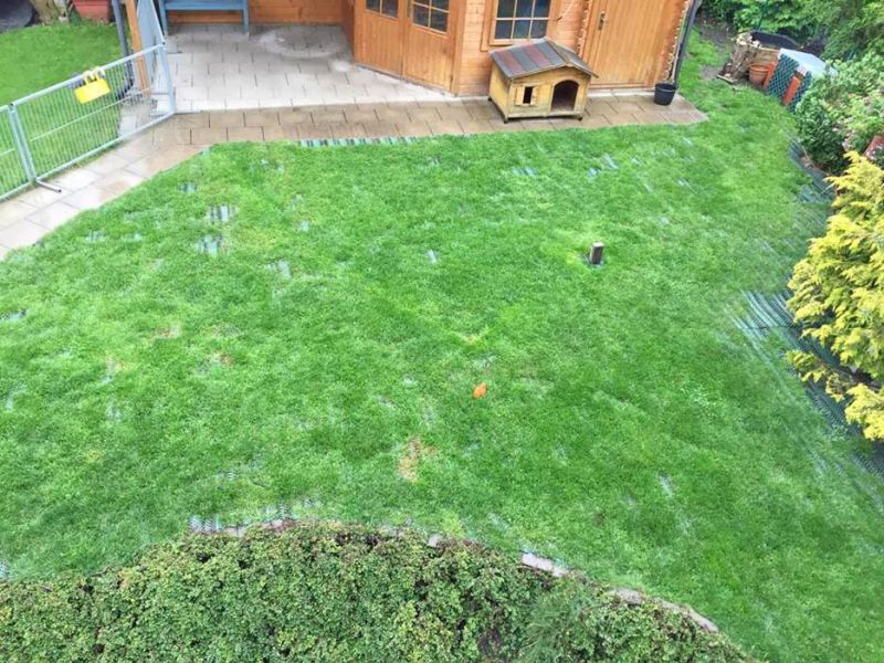 Rasennetz RN 1800 als Wühlschutz, Buddelschutz für den Hundeauslauf im Garten