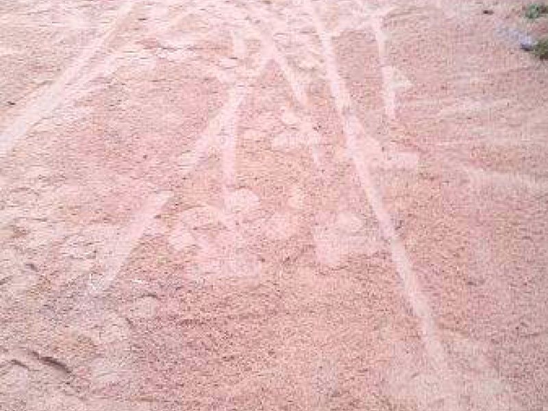 Befestigter und Matschfreier Stallauslauf für Kühe mit dem Bodengitter BG30