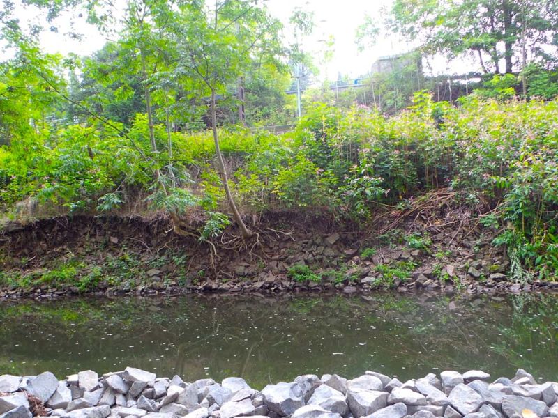 Mobile Baustraße als Zufahrtslösung für die DB Netz AG