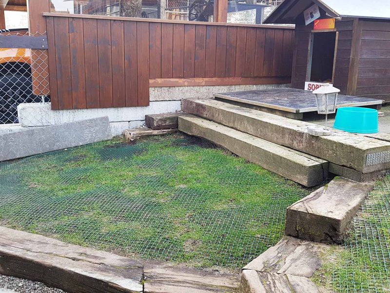 Hunde wühlen & buddeln gerne, leider auch im eigenen Garten. Hier sehen Sie wie man man einen Rasen bzw. Wiese vor Wühl & Buddelattacken effektiv schützt...