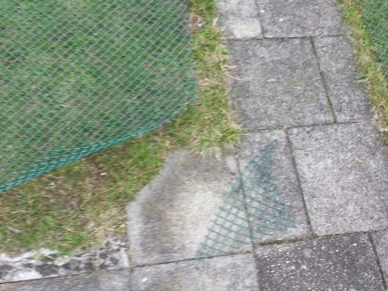 Rasennetz RN640 zur Rasenverstärkung und Rasenschutz im Garten und Hof