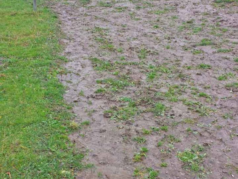 Paddockplatten ohne Unterbau selber verlegen - Paddocks ohne Matsch