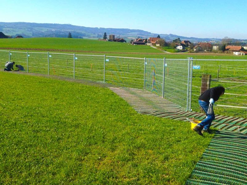 Rasennetz als Rasenschutz für eine Hühnerweide bzw. Hühnerauslauf