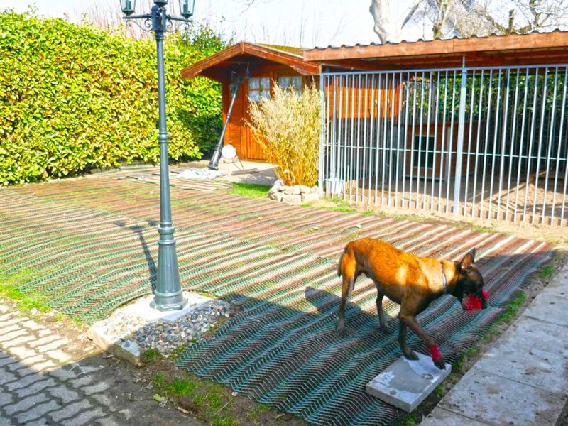 Hundebesitzer aufgepasst! Nie mehr Löcher im Garten, Wiese, und Rasen durch Wühlen & Buddeln mit dem Rasennetz RN