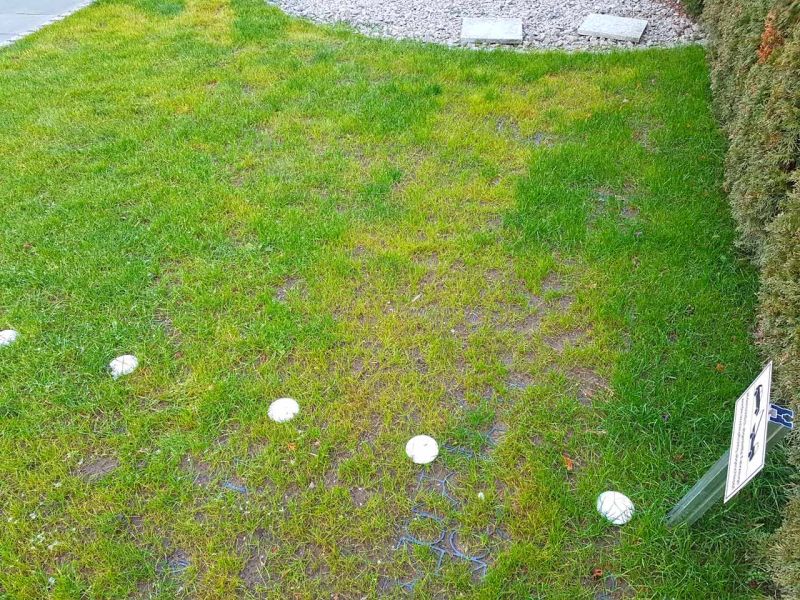 Ein begrünter Parkplatz mit Rasengitter RG24 und weißen Markierungen. Rechts steht ein kleines Schild mit Auto-Symbol. Im Hintergrund eine Hecke und ein Kiesbereich.