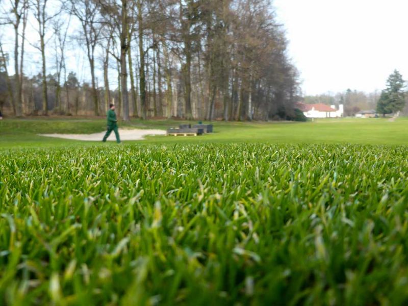 Baustraße zur Teichentschlammung im Golfplatzbau bzw. Golfplatzpflege