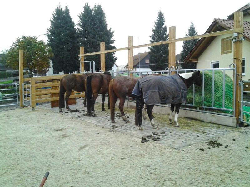 Bodengitter BG50 zur trittfesten Bodenbefestigung eines Roundpen / Führanlage