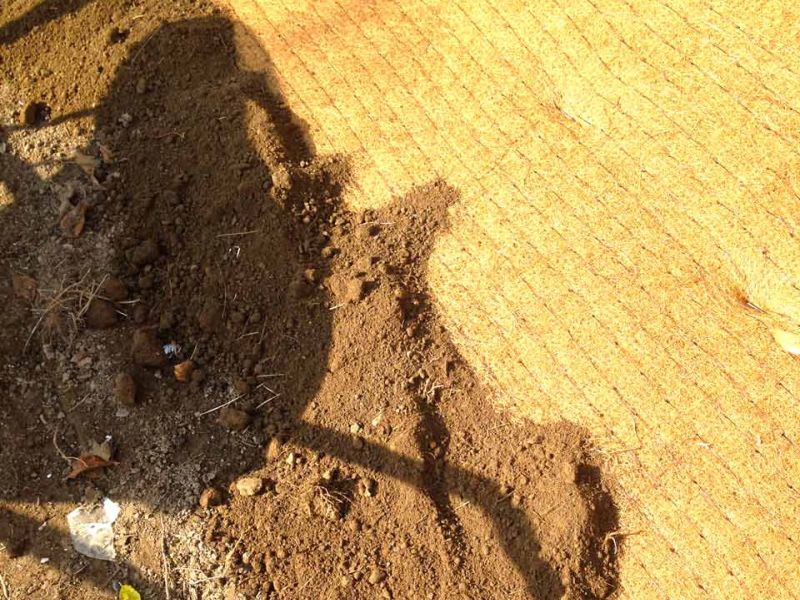 Verlegung der Mulchmatte Kokos MMK600 aus Kokos zur Hangbefestigung