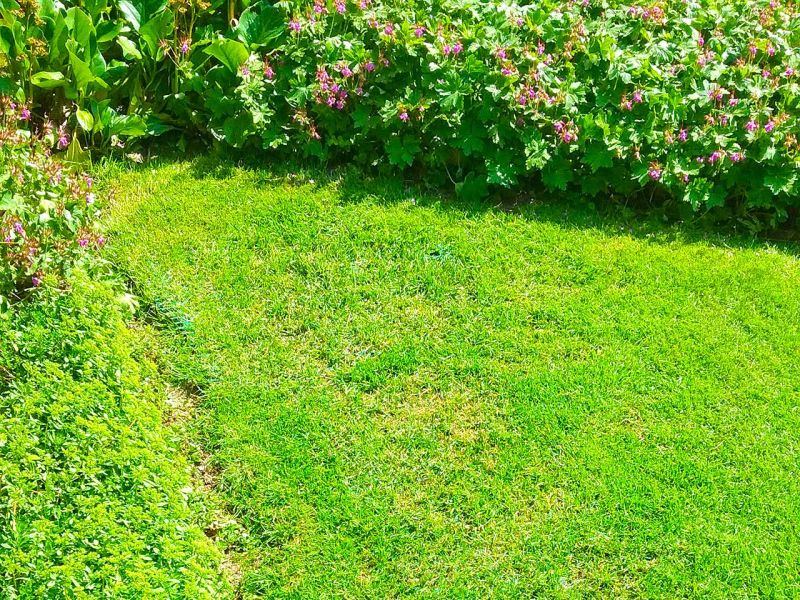 Rasennetz RN zur Rasenverstärkung und rutsch Festigkeit für einen Mähroboter