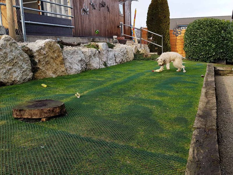 Hunde wühlen & buddeln gerne, leider auch im eigenen Garten. Hier sehen Sie wie man man einen Rasen bzw. Wiese vor Wühl & Buddelattacken effektiv schützt...