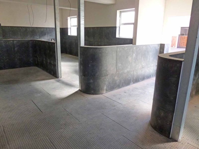 Bodenmatte aus Weich-PVC als Kuhmatte für Lauf,- Steh,- Liegeflächen in der Viehhaltung