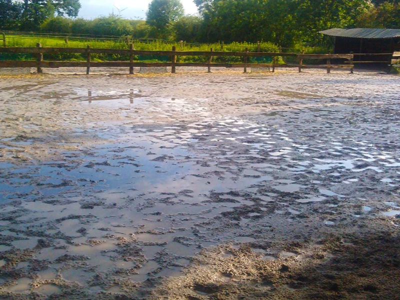 Anfertigen eines wasserdurchlässigen Reitplatz mit dem Bodengitter BG30