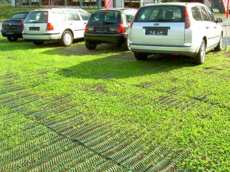 Rasennetz RN zur Rasenverstärkung der Ausstellungsfläche eines Autohauses