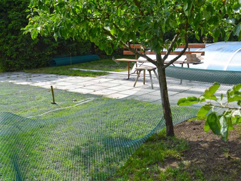 Wühlschutz und Buddelschutz für Hunde im Garten mit dem Rasennetz RN450