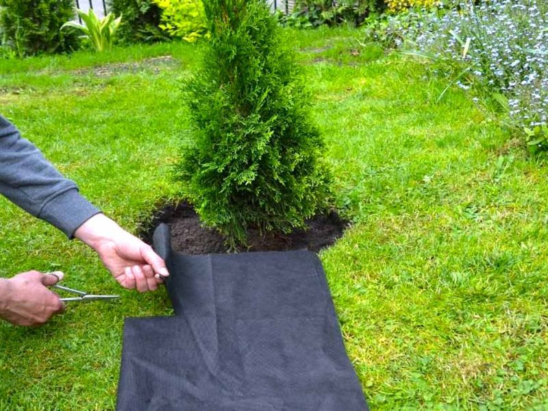 Randeinfassung aus Kunststoff als Rasenkante bzw. Beetkante für Pflanzflächen