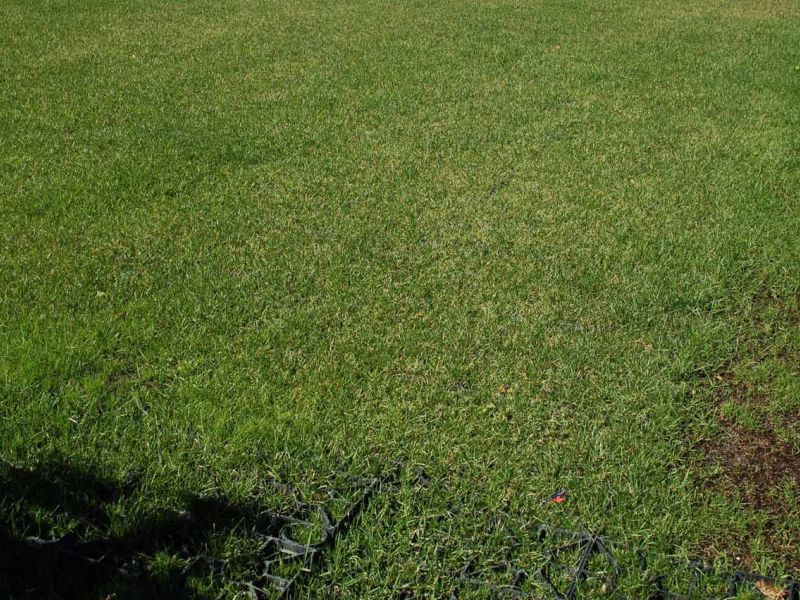 Rasenbefestigung für ein Hotel mit regelmäßigen Veranstaltungen mit dem Rasengitter RG24