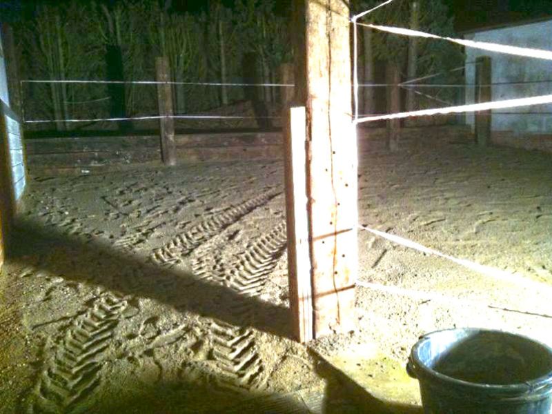 Stabilisierung eines Paddocks mit Hilfe des Bodengitters BG30