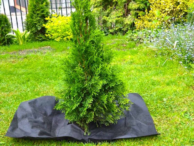 Randeinfassung aus Kunststoff als Rasenkante bzw. Beetkante für Pflanzflächen