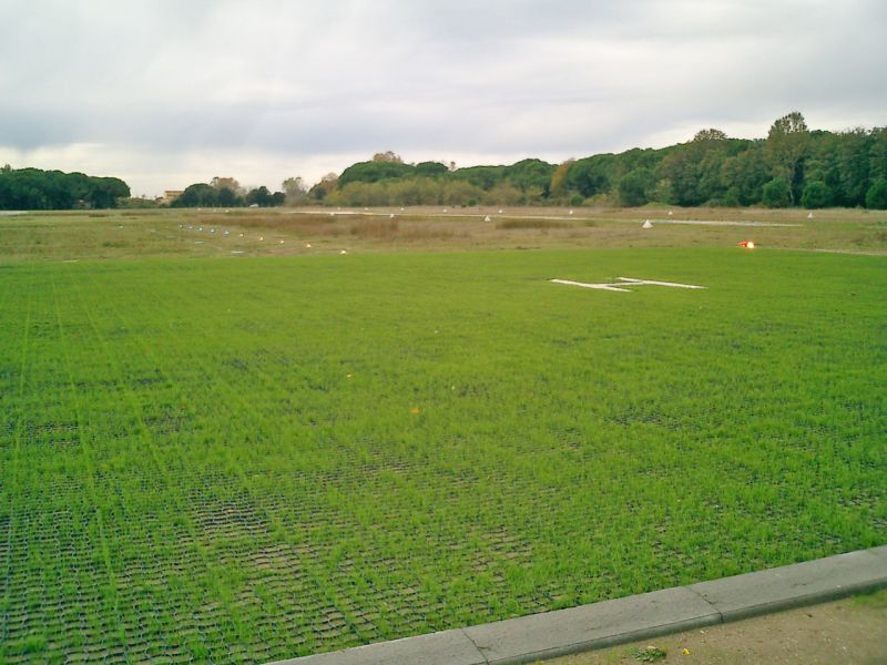 Übersicht einer begrünten, mit Gittern befestigten Rasenfläche mit H Markierung.