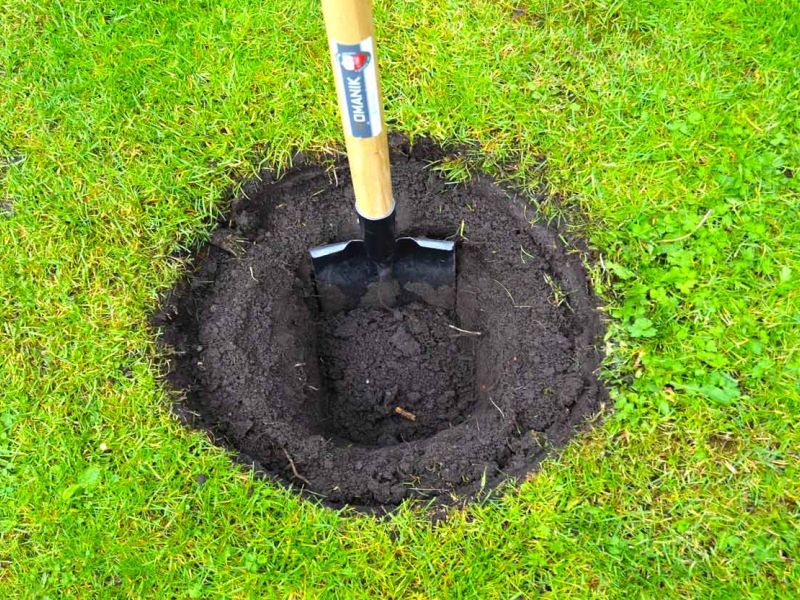 Randeinfassung aus Kunststoff als Rasenkante bzw. Beetkante für Pflanzflächen