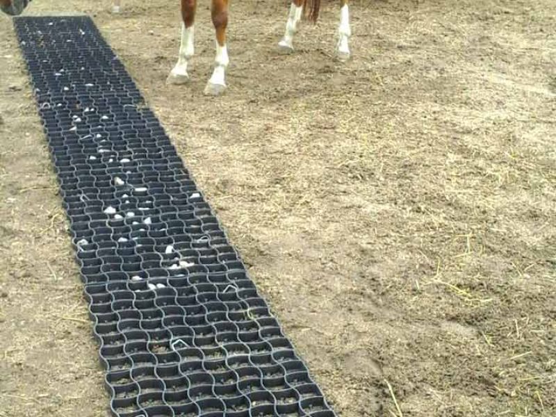 Bodengitter zur Befestigung des Fußweg zum Futterplatz & Unterstand für Pferde