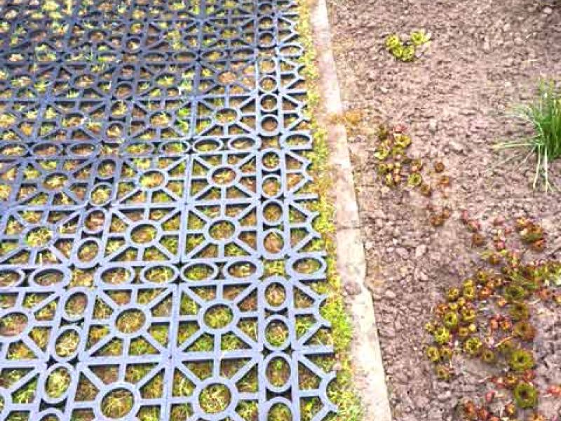 Kunststoff Rasengitter RG24 zur Sofort-Verlegung ohne Unterbau und Erdarbeiten