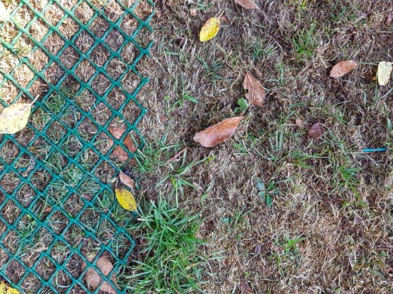 Rasennetz als Traktionshilfe für Mähroboter und Robomower in schwierigem Gelände mit Gefälle, Steigung und Neigung