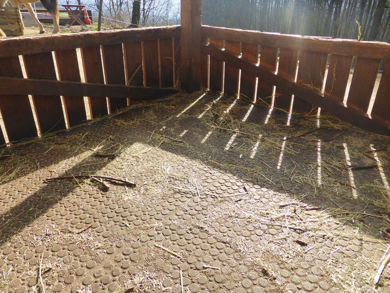 Update zu unserem Artikel "Befestigter Freilauf bei einer Pferdepension mit der Paddockplatte PP60"