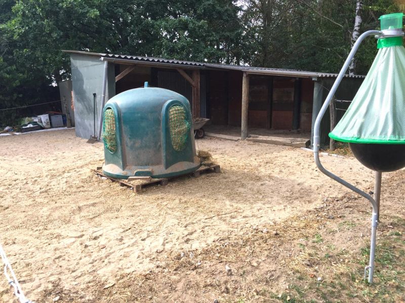 Futterplatz, Paddock und Offenstall - Matschfreie Bodenbefestigung ohne Unterbau