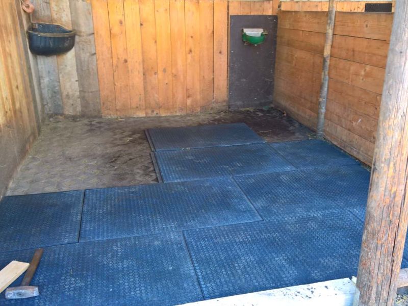 Verlegung von Bodenmatten als Stallboden für einen Pferdestall