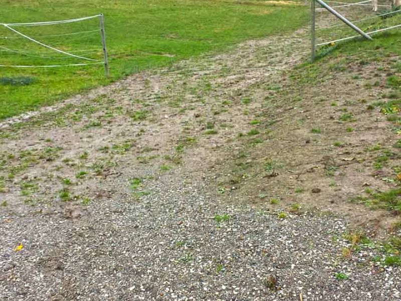 Paddockplatten ohne Unterbau selber verlegen - Paddocks ohne Matsch