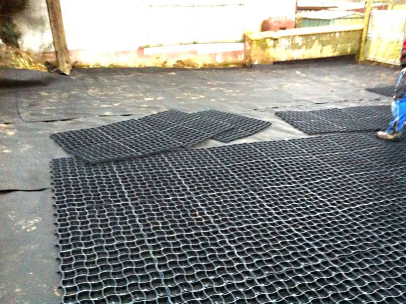 Stabilisierung eines Paddocks mit Hilfe des Bodengitters BG30