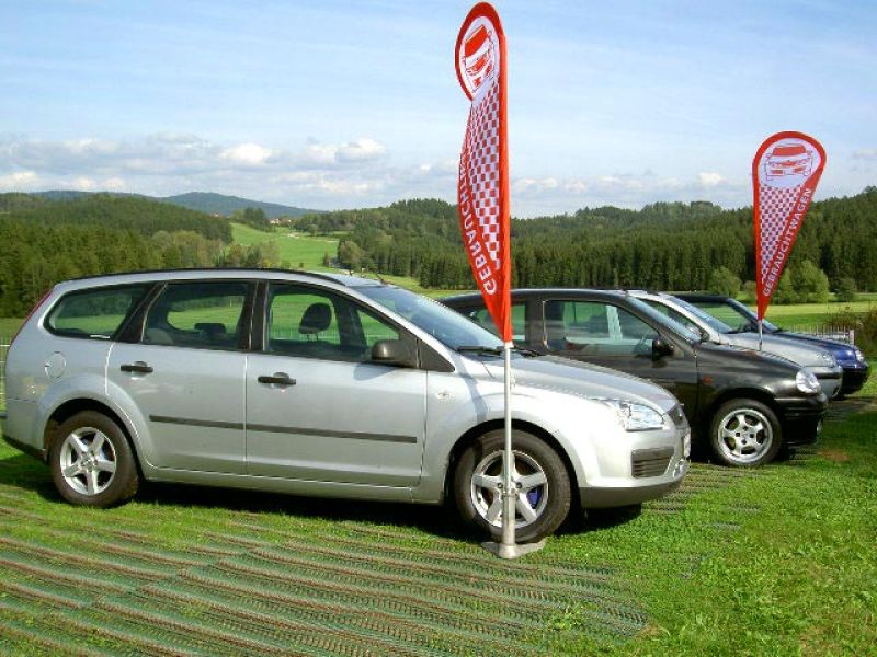 Rasennetz RN zur Rasenverstärkung der Ausstellungsfläche eines Autohauses