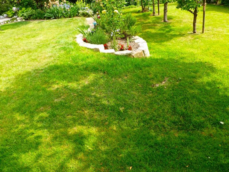 Rasennetz RN 1000 als Traktionshilfe für Mährobter in Gärten mit Hanglage